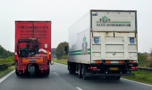 Sie sind sehr laut und tun nicht tröten, verdient hätten sie nen Tritt in die Klöten.